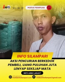 Aksi Pencurian Berkedok Pembeli, Uang puluhan Juta Milik Pedagang Cabai Raib di Pasar Satelit