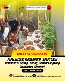 Polisi Berhasil Membongkar Ladang Ganja Rumahan di Rejang Lebong, Pemilik Langsung Diamankan ditempat!